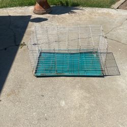 Two Cages 