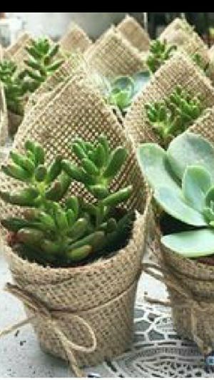 New And Used Party Decorations For Sale In Fresno Ca Offerup