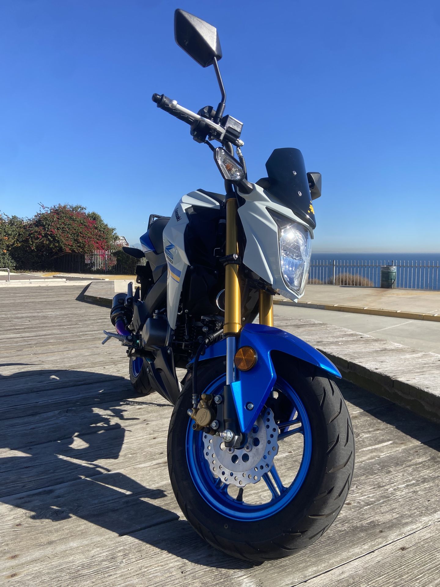 2022 Kawasaki Z125 Pro