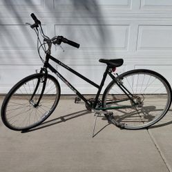 10-Speed Bike - Crestview Diamondback