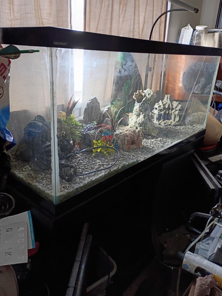 Fish Tank With Extras