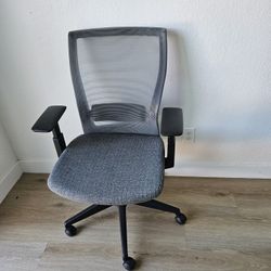 Ergonomic Office Chair w/ Adjustable Arms