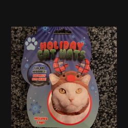 Reindeer hat for your cat see my page for tons more
