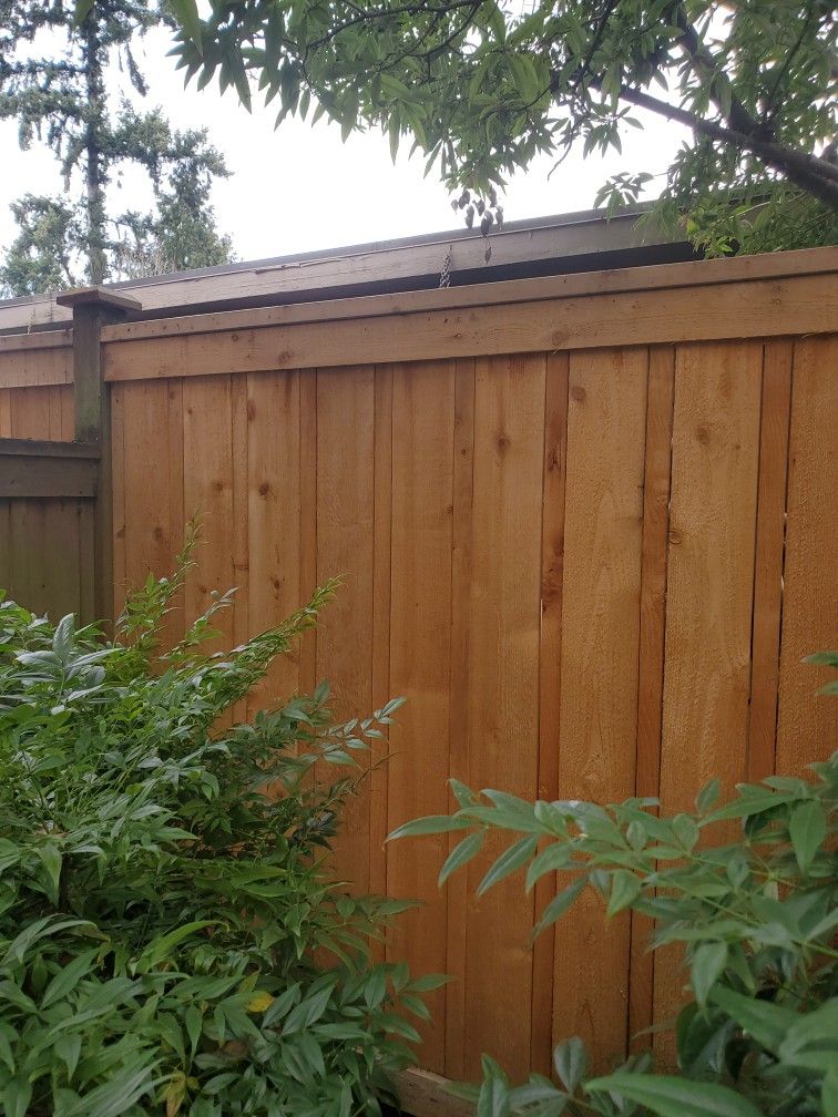Fence $.cedar
