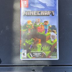 Minecraft Nintendo Video Game