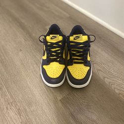 Michigan Nike Dunks