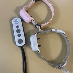 Dog collars (2)