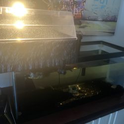 20 gallon turtle tank with basking station an heat lamp