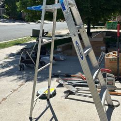 Werner 6 Ft Ladder 