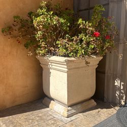 Pair If Beautiful Extra Large Matching Vases Set 