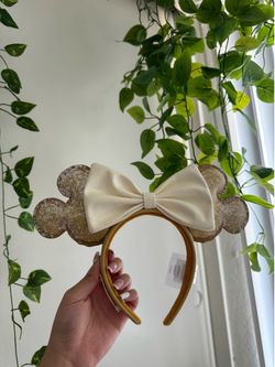 Beignet Disney Ears