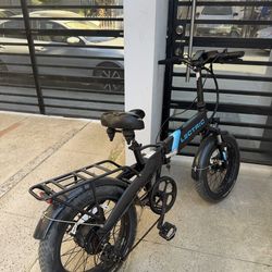 Lectric bike
