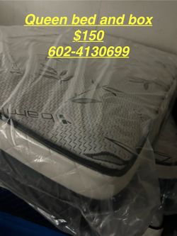 Queen Bed And Box Spring $150