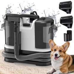 Carper Cleaner 