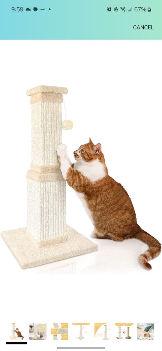 AGYM Cat Scratching Post 32"