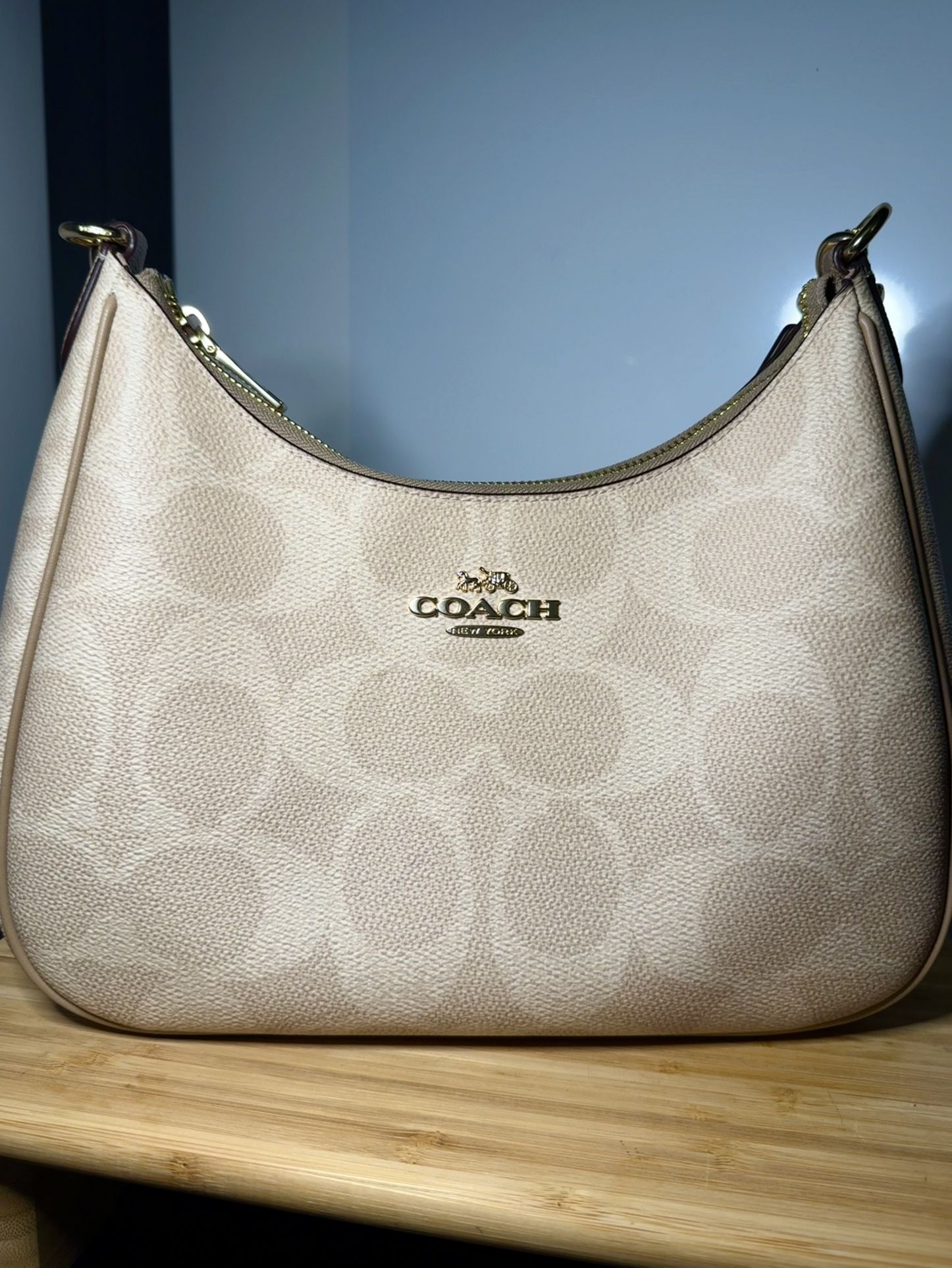 COACH Teri Hobo Bag In Blocked Signature Canvas (Brass Hardware)