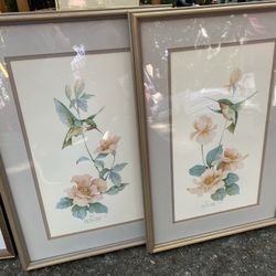 Hummingbird Framed Prints