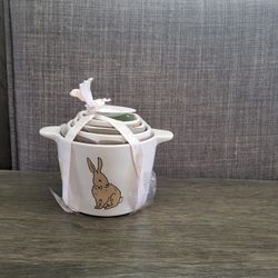 Rae Dunn Spring Measuring Cups 🐰🐣