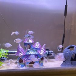 Fish Tank Toys 
