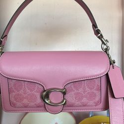 🌸 Pink Coach Tabby 20 🌸