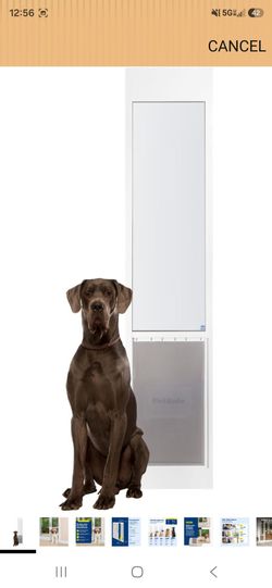 Dog door for tall sliding patio door