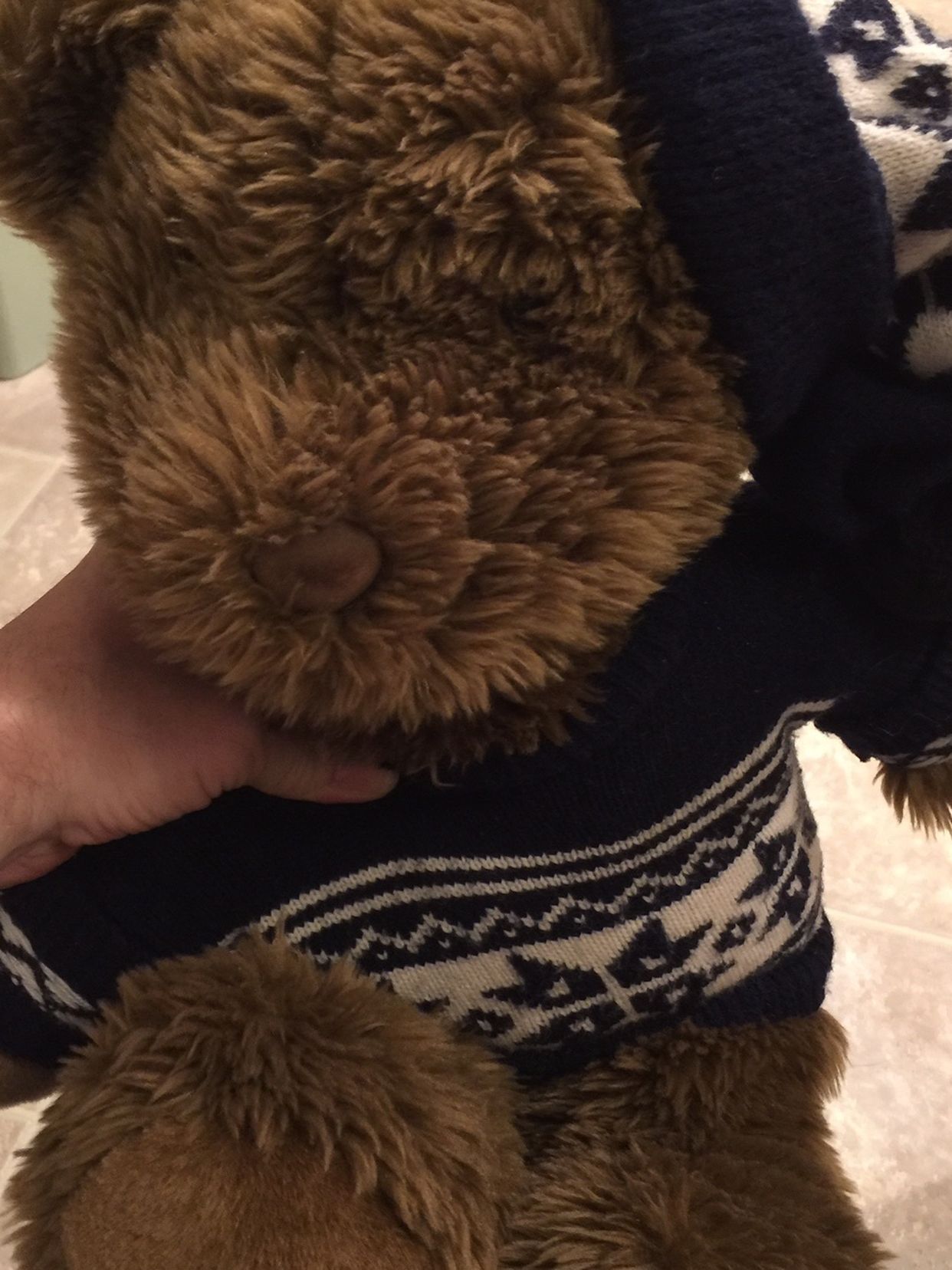 American Eagle Teddy Bear With Sweater And Beanie