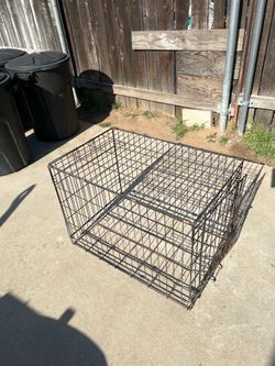 30 in dog kennel
