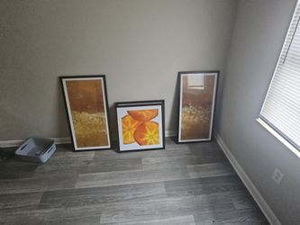 4 Paintings, 2 Flower Fields II By Lanie Loreth and 2 Persimmons