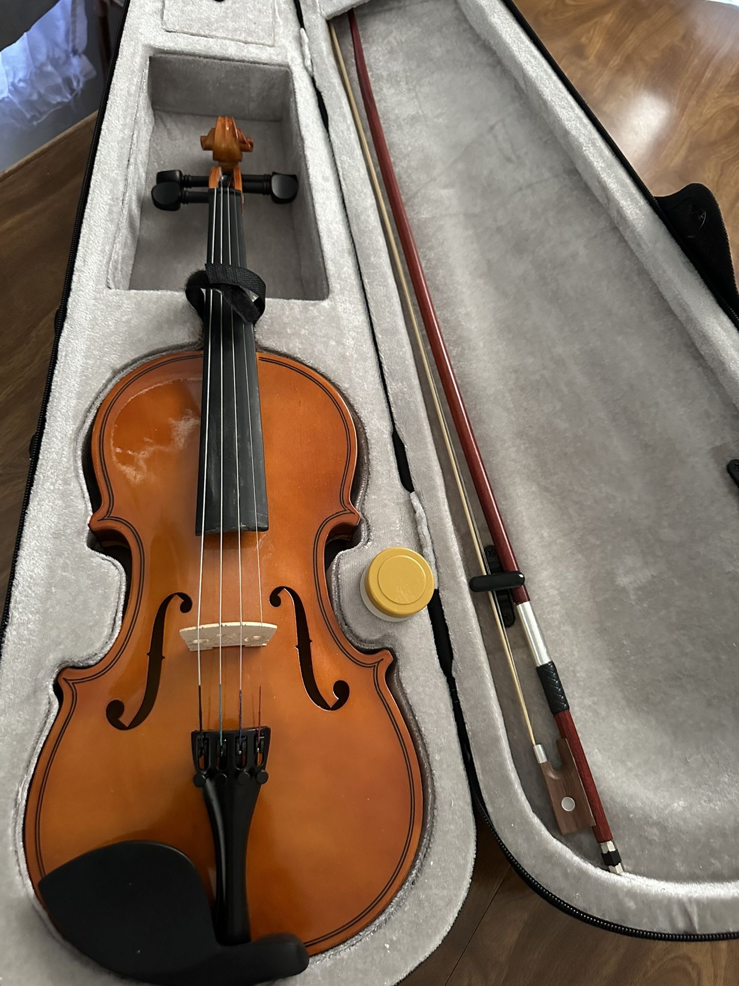 Accoustic Violin With Case For Kid