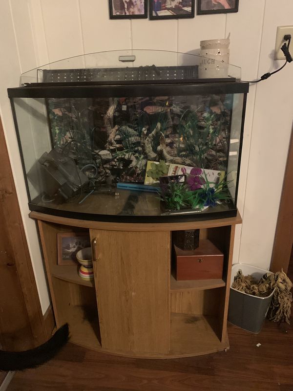 45 Gallon curved fish tank for Sale in Mayville, WI OfferUp