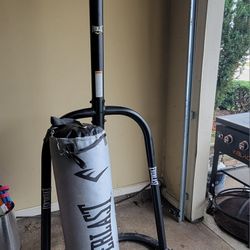 80lb Everlast Punching Bag 