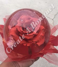 Rose in globe/Rosa en vase con agua