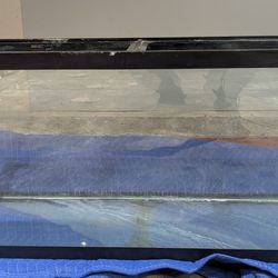 55 Gallon Aqueon Aquarium With Stand