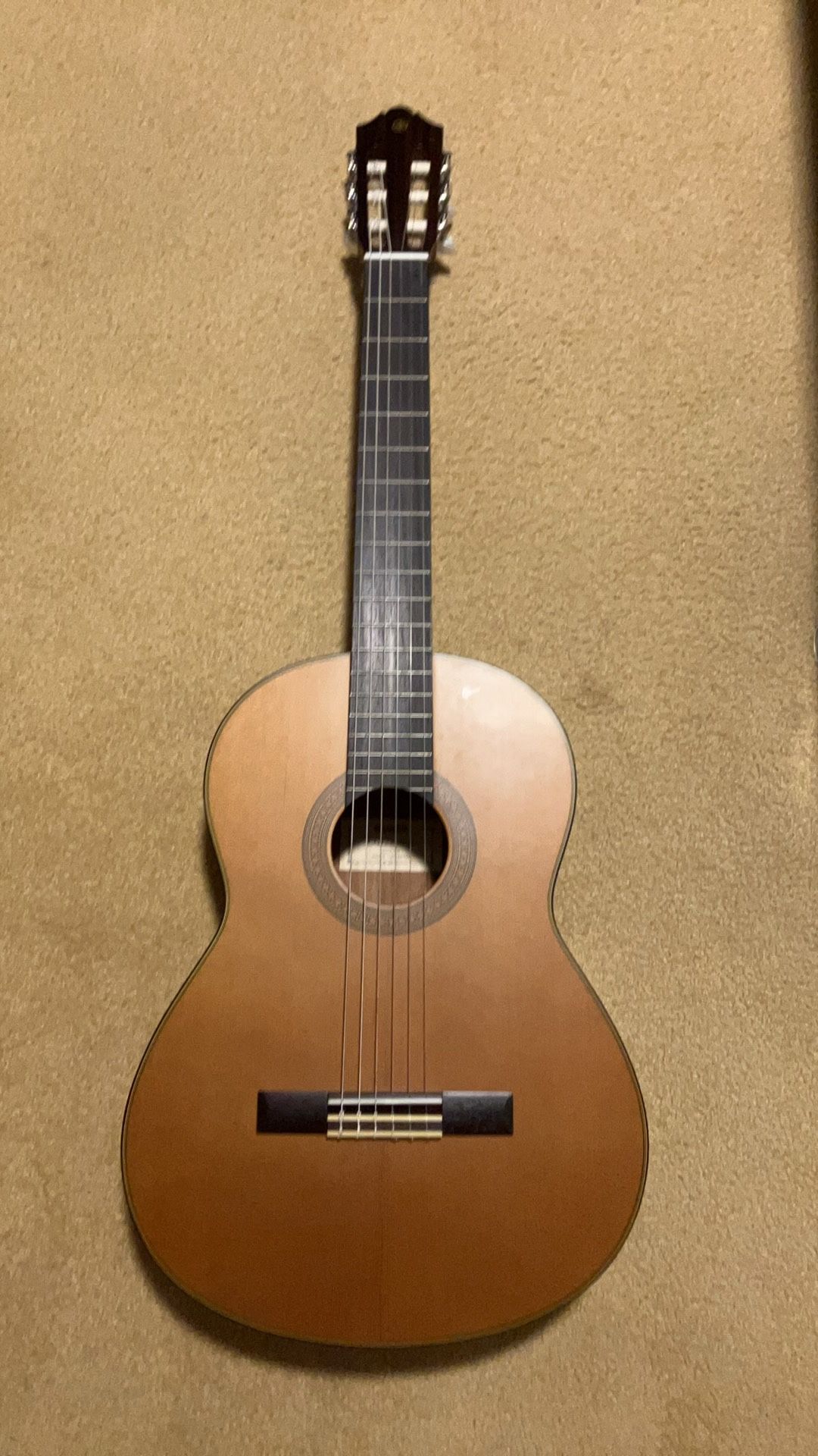 Acoustic Guitar