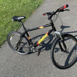 24 Speed Mountain Bike
