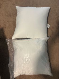 BRAND NEW- Cozy Earth Large Pillows