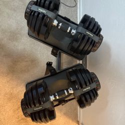 Nautilus Adjustable Dumbbells + Stand 