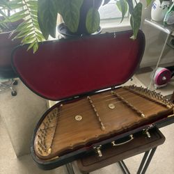 Istrumento De Cuerda 