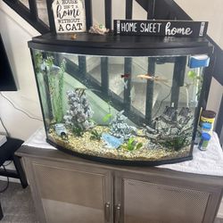 36 Gallon Fish Tank And Stand