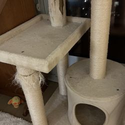 Cat Tree Frisco 