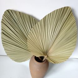 Pampas Grass