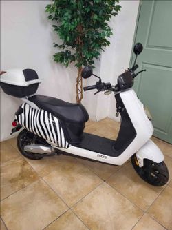 Zebra electric scooter