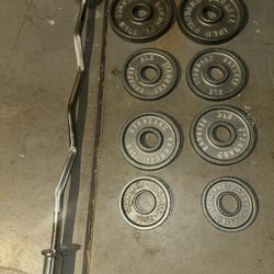 EZ Curl Bar + 45 lbs Total in Plates (Not 45 lb Plates)