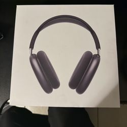 Apple Air Pods Max (Excellent Condition)