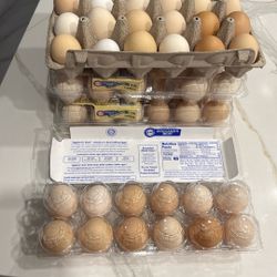 Huevos Orgánicos