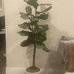 5’ Faux Fiddle Leaf Tree Potted In The Beautiful Textured Ceramic Pot