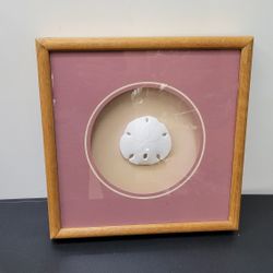 Vintage Oak Shadowbox Framed Sand Dollar Beach Figi Giftware Nautical Wall Decor. No Scratches.
13.5"x13.5"x2.5", 3.5lb