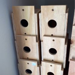 Finch Nest