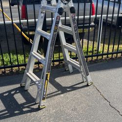 Gorilla Ladders