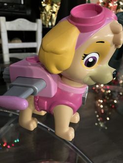 Skye paw patrol